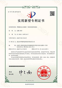 帶數據顯示功能的一體化氧化鋯探頭